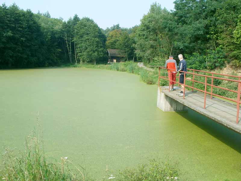 15 Určice