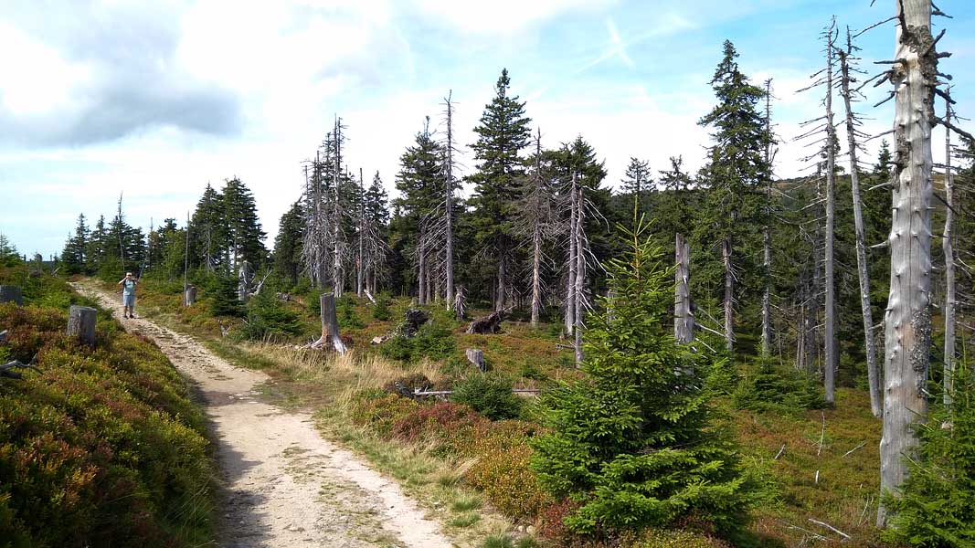 042 Stříbrnice