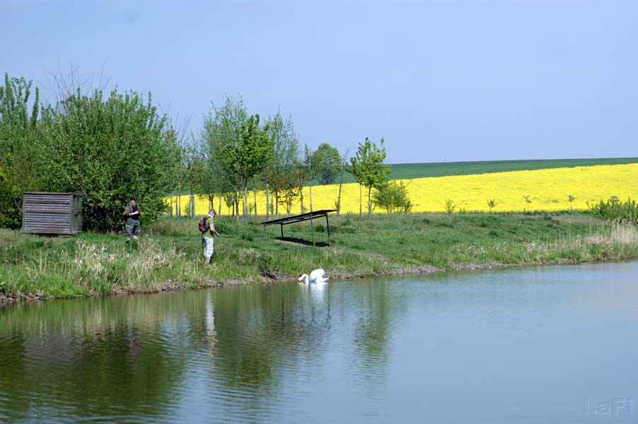 06 Skalka - Pivín V