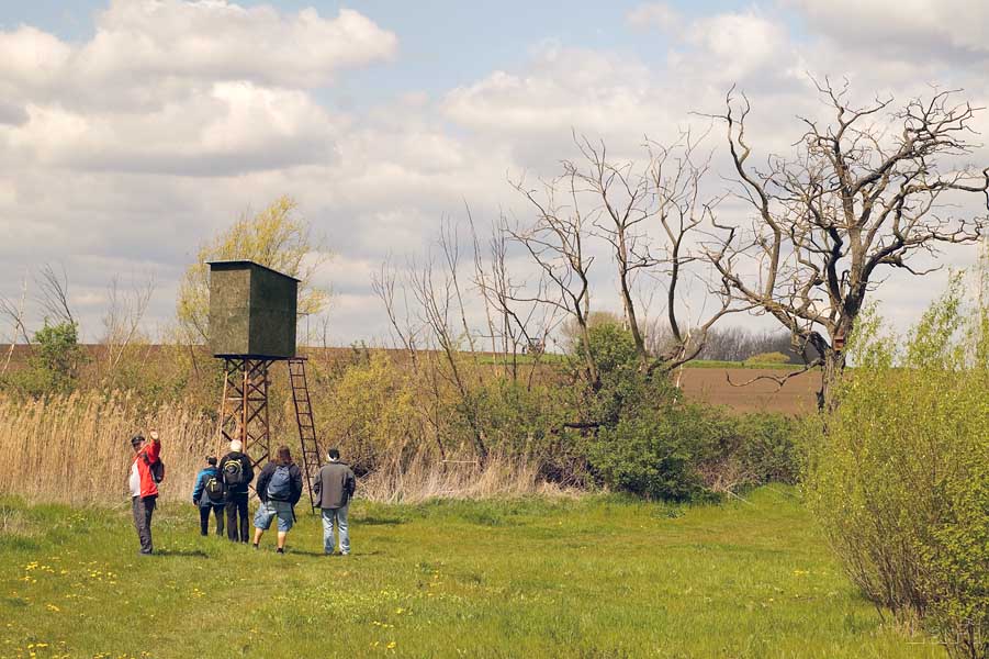 08 Skalka VI
